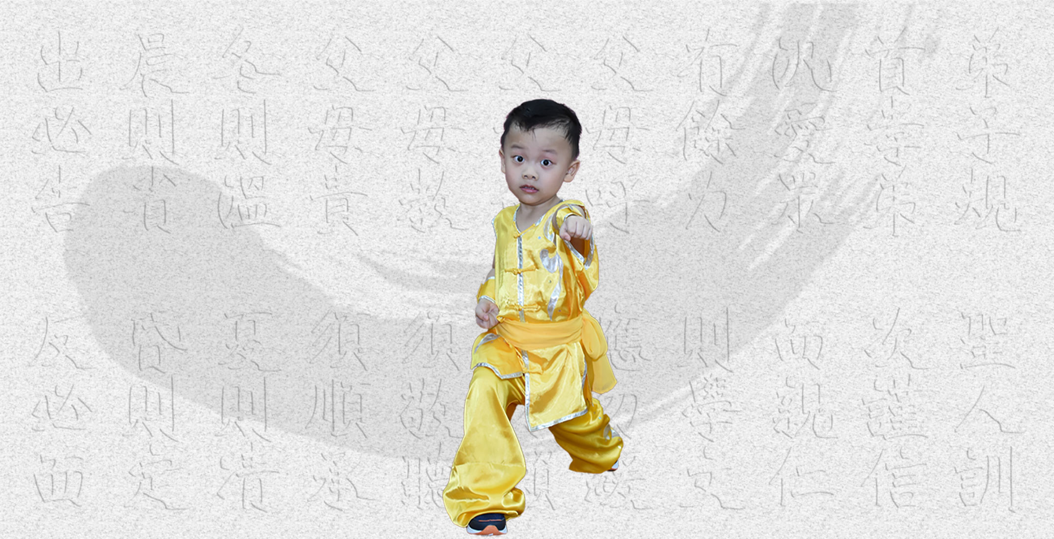 Main image of Xinying Wushu Training Centre