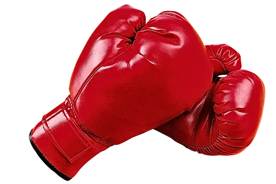 Main image of Xmax Thai Boxing Club | Chiang Mai Inter Muay Thai School