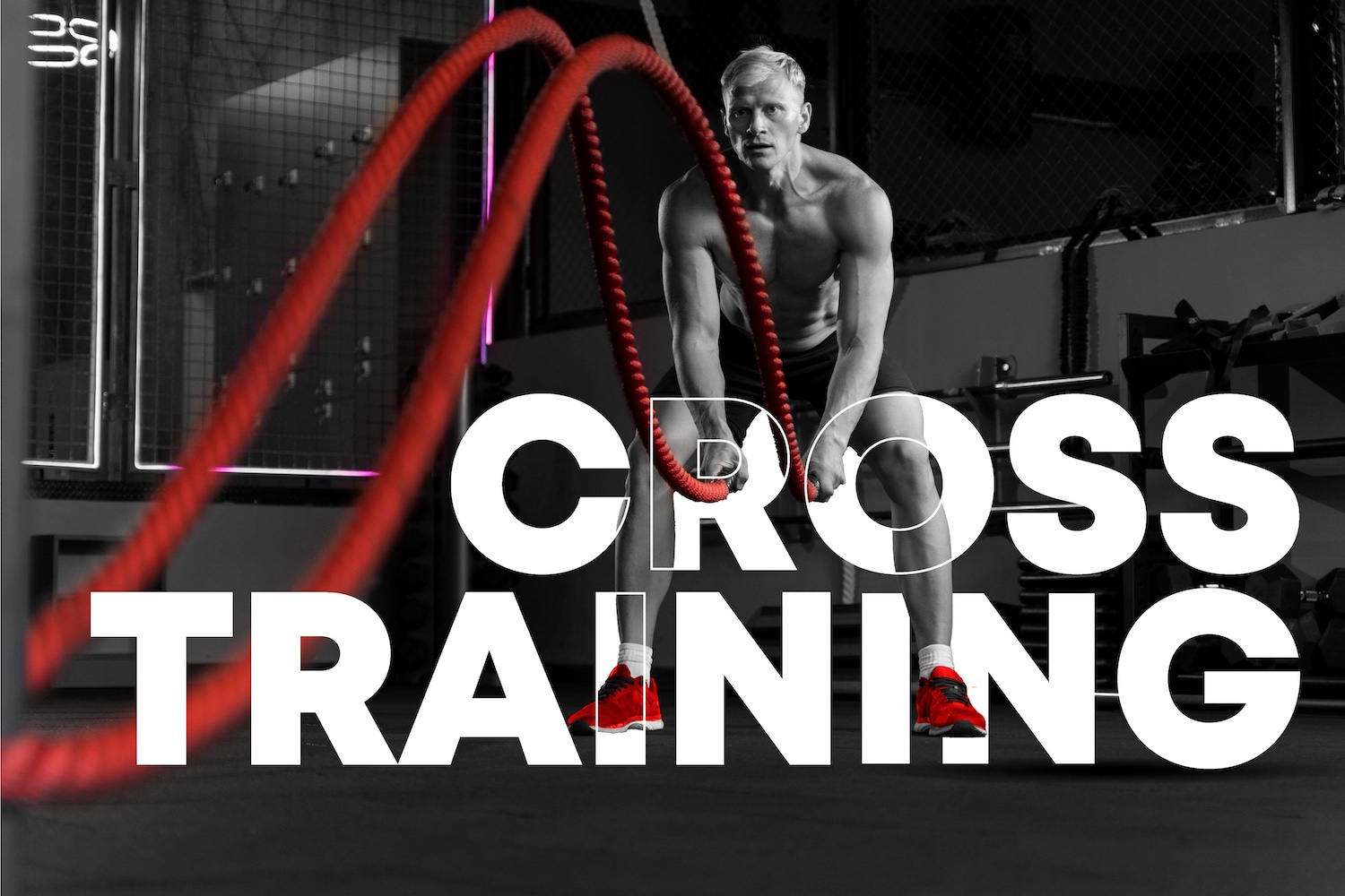 Main image of Xtreme Couture Toronto