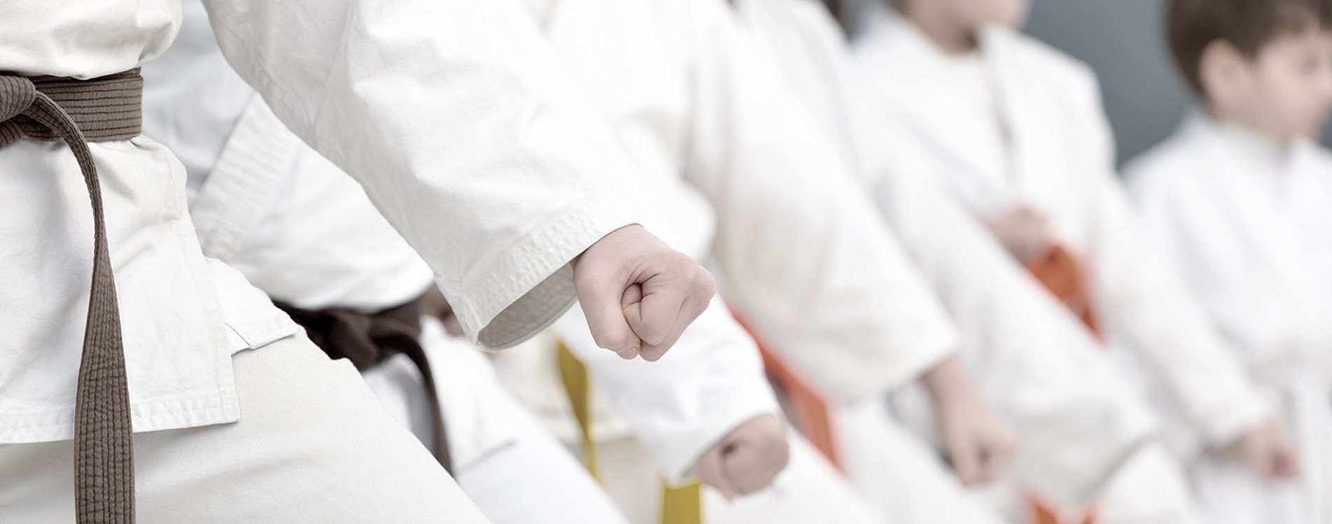Main image of Yamato Karate Academy