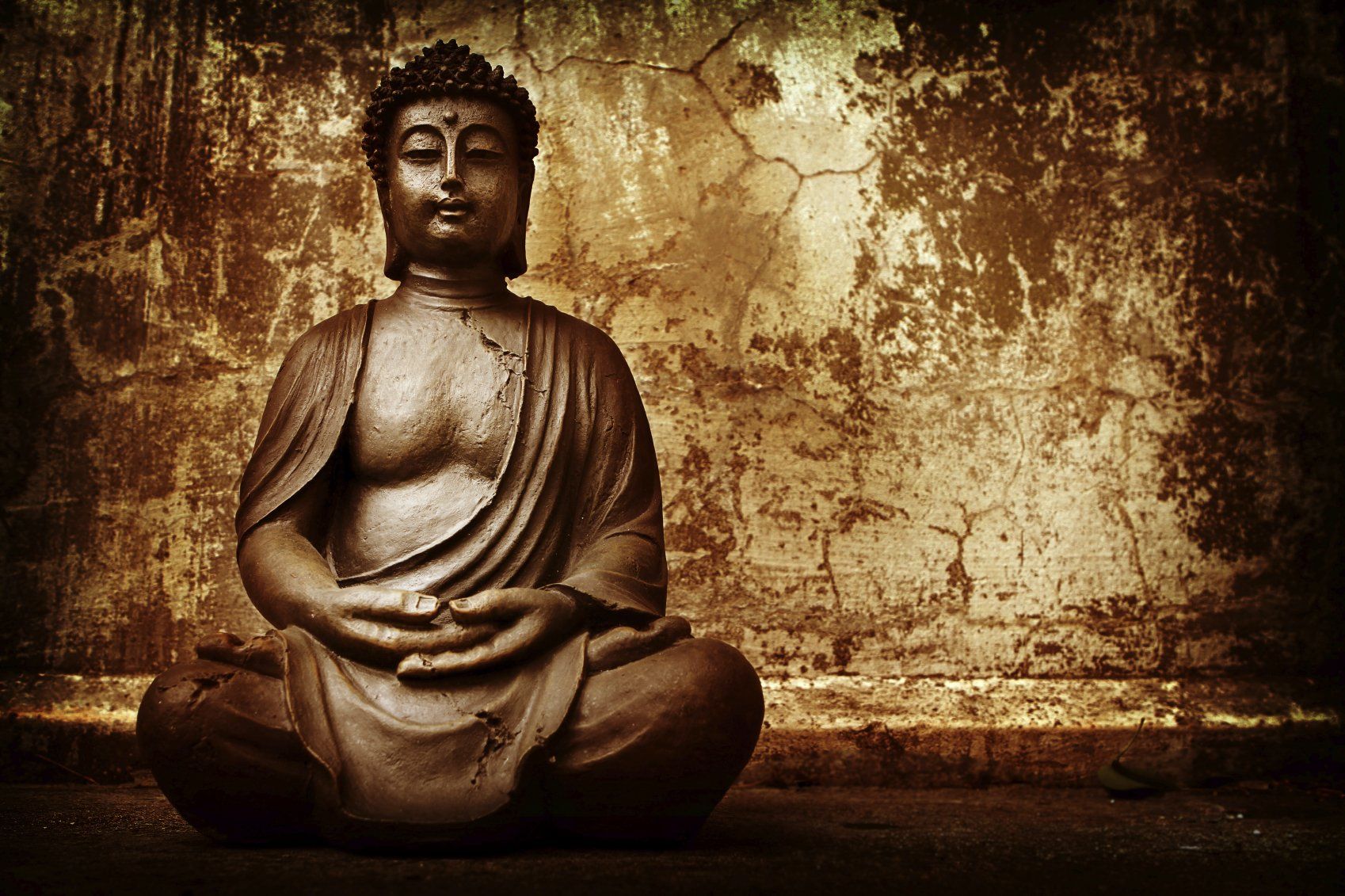 Main image of Yan Long ASD