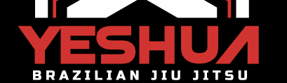 Main image of YBJJ