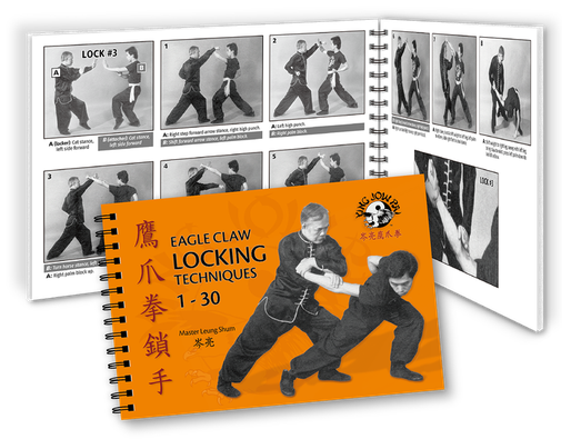 Main image of Ying Jow Pai