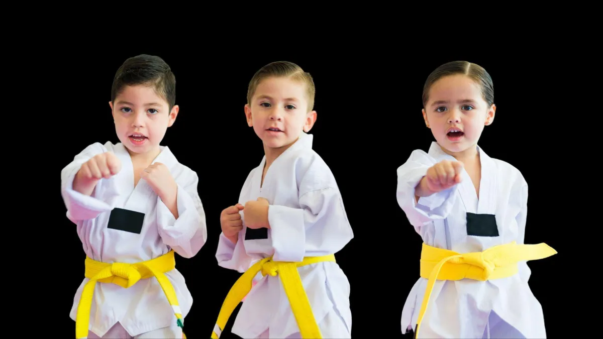 Main image of Ykwon Taekwondo