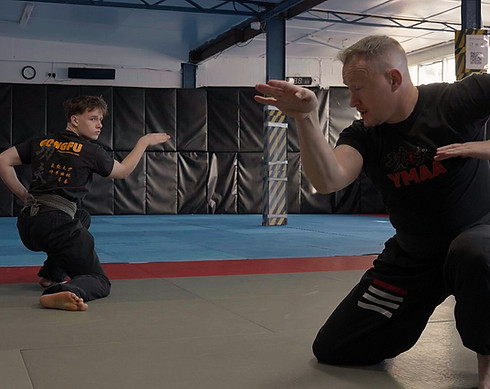 Main image of YMAA Ireland HQ - Shaolin Kung Fu and Tai Chi Chuan