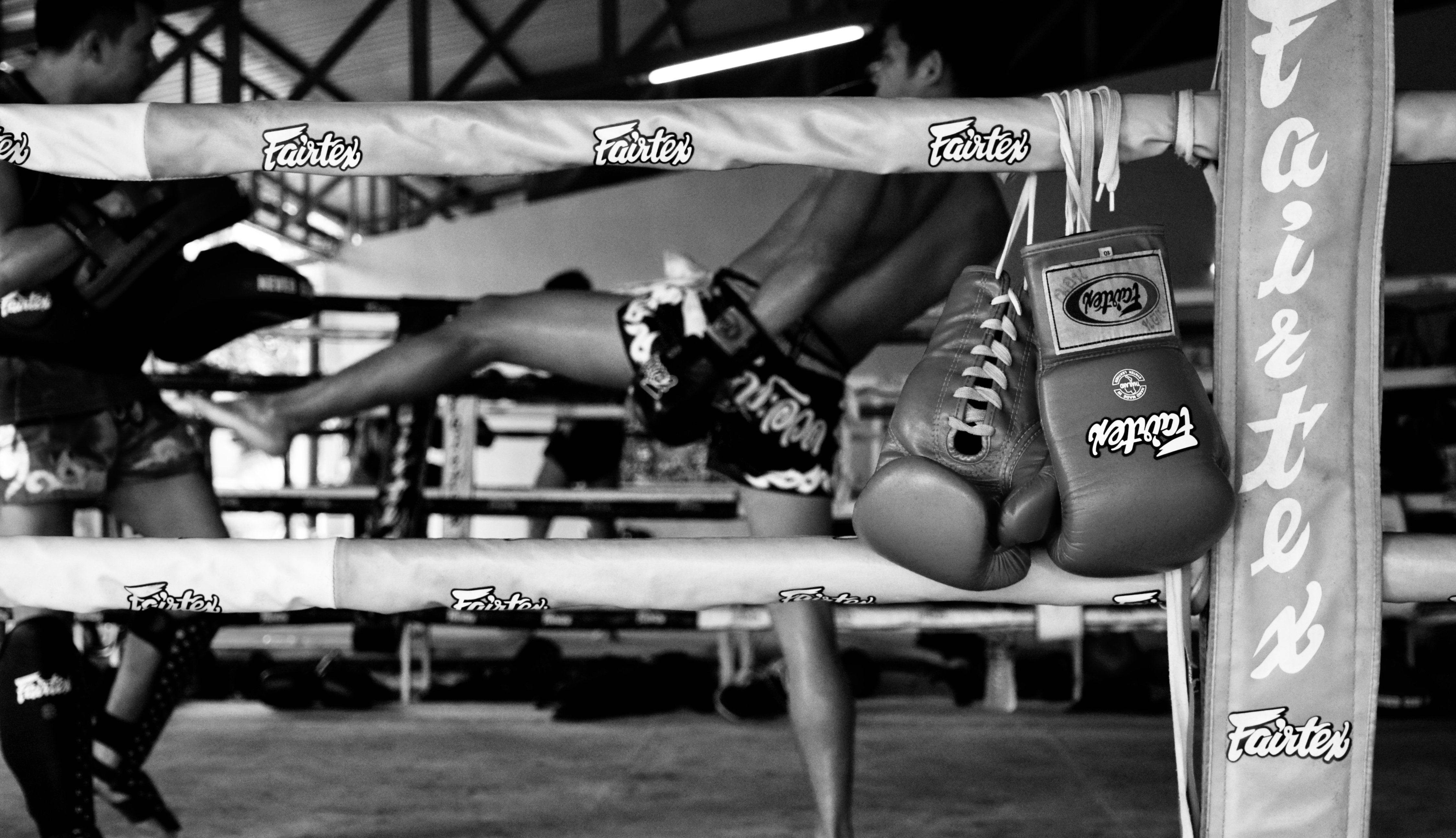 Yodyut Muaythai academy image