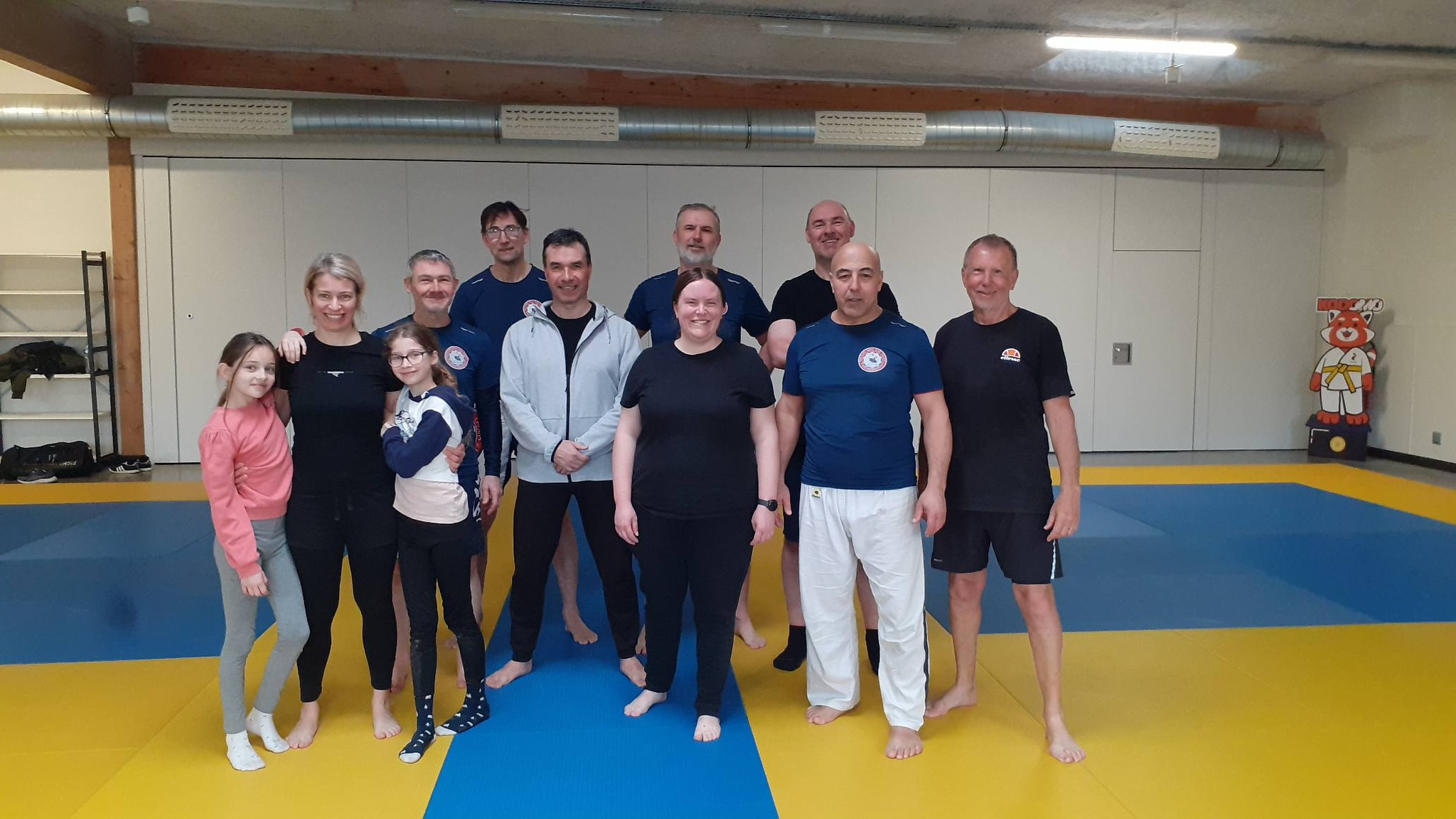 Main image of Yoseikan Budo Club Lyssois