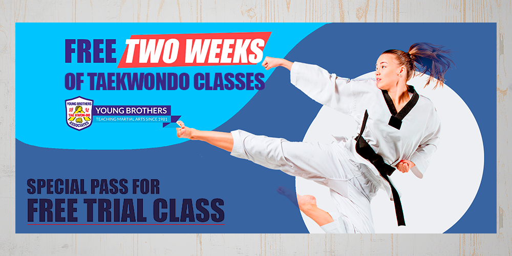 Main image of Young Brothers Taekwondo Copperfield