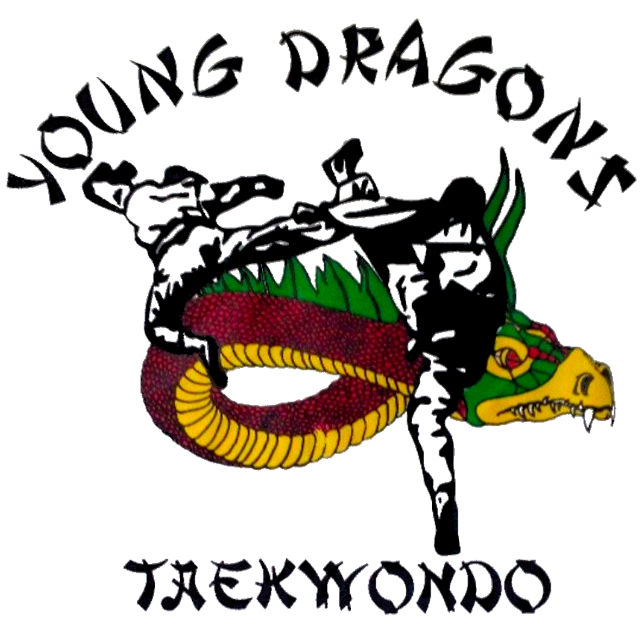 Main image of Young Dragons Taekwondo