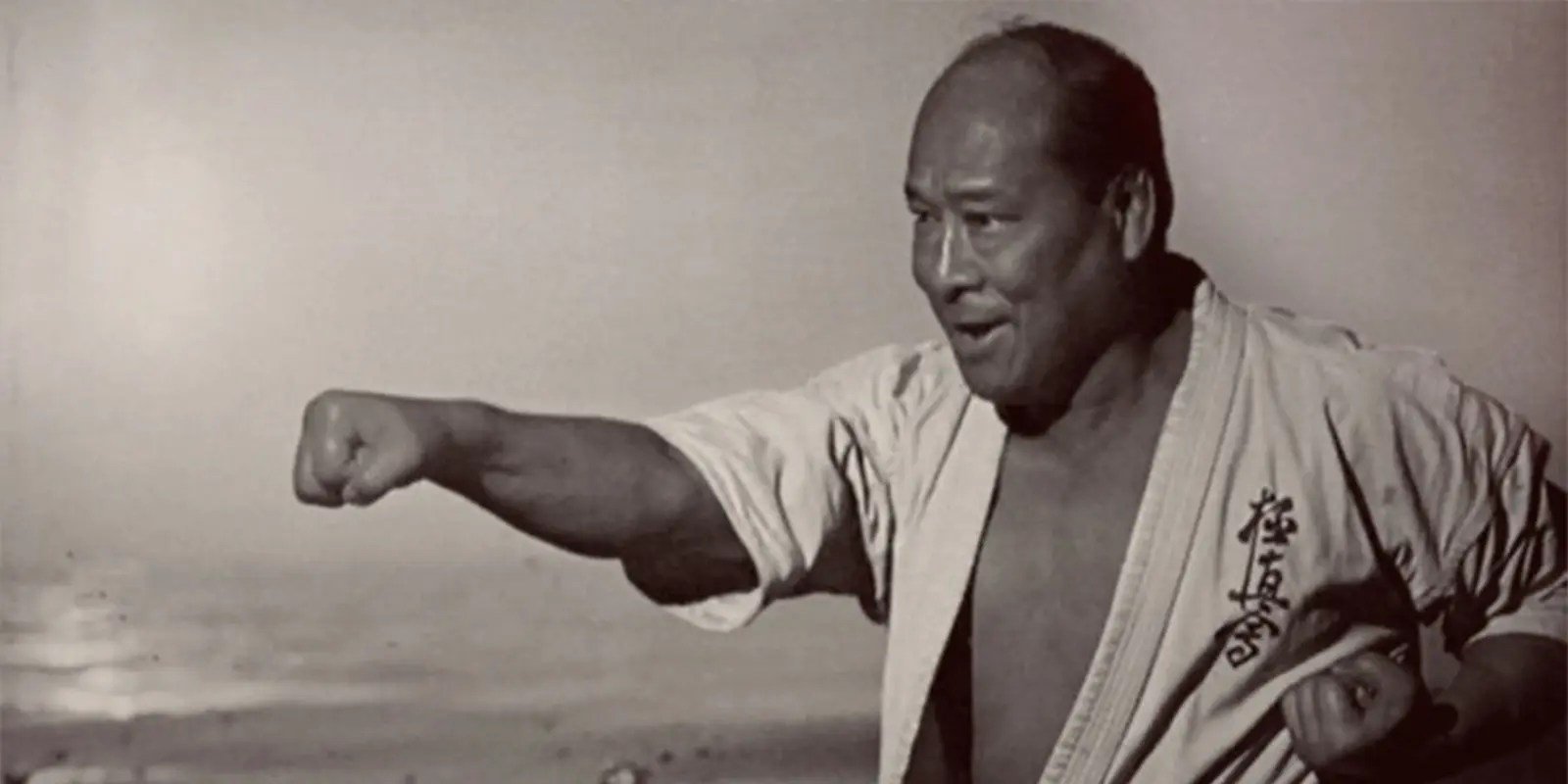 Main image of Young Lions Dojo