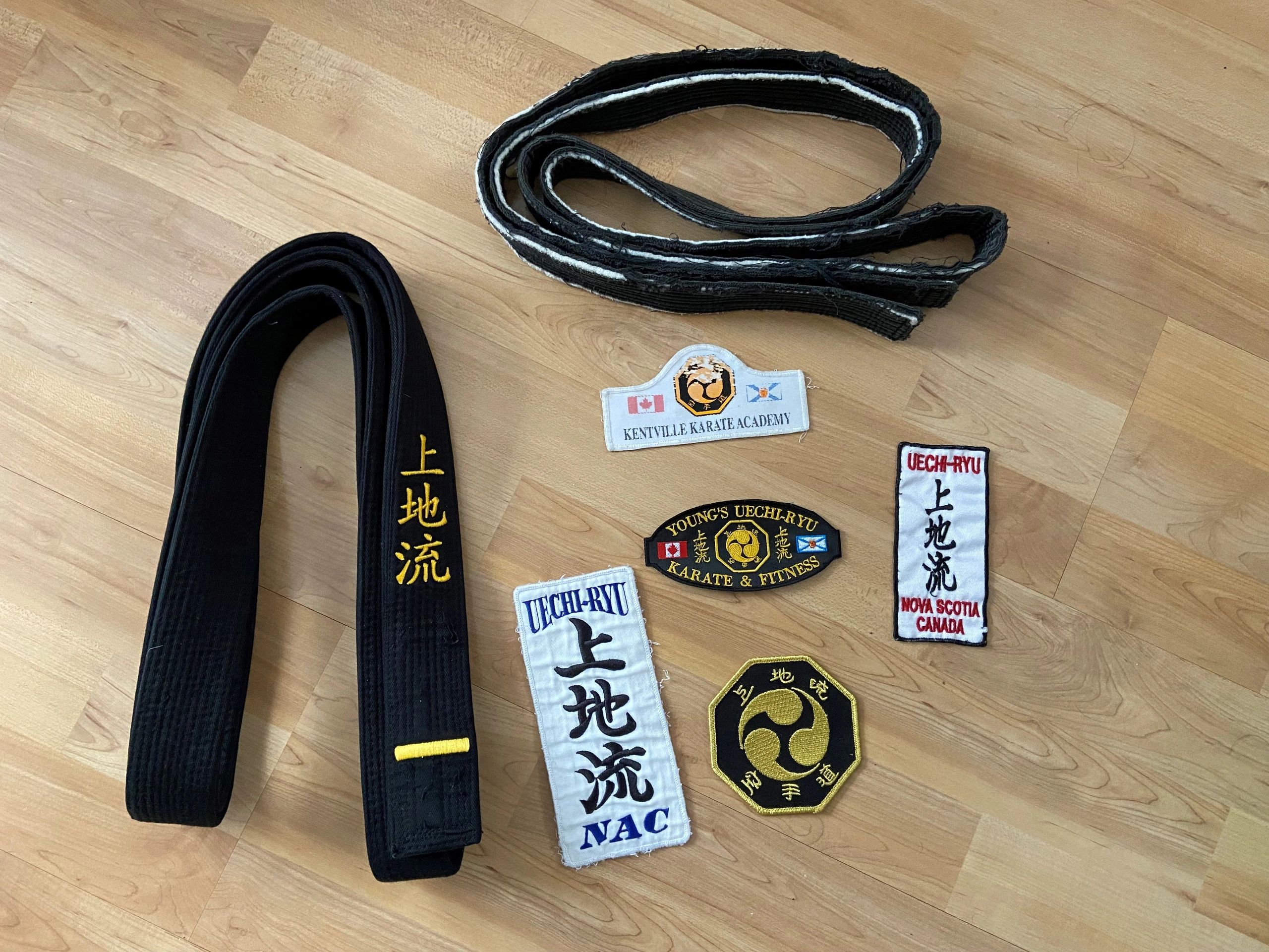 Main image of Young's Uechi-Ryu Karate & Fitness