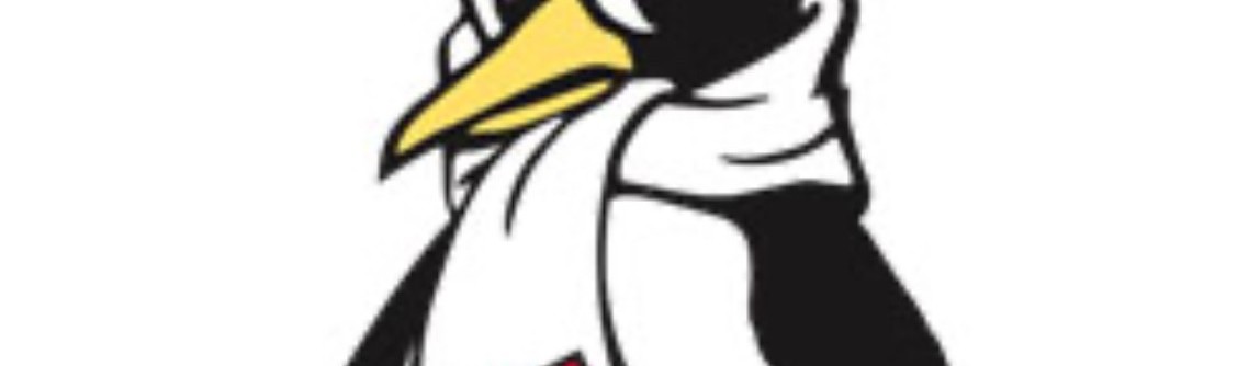 Main image of YSU jiu jitsu
