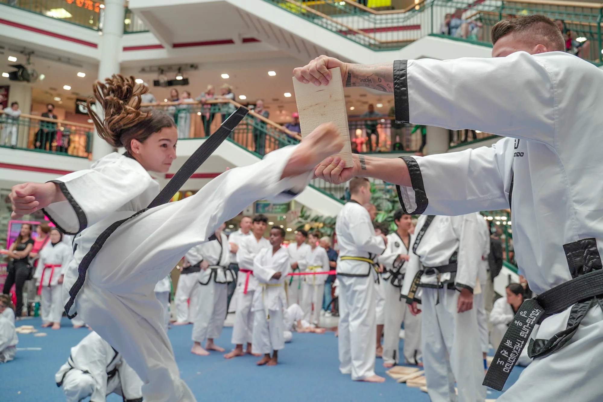 Main image of YU Taekwondo
