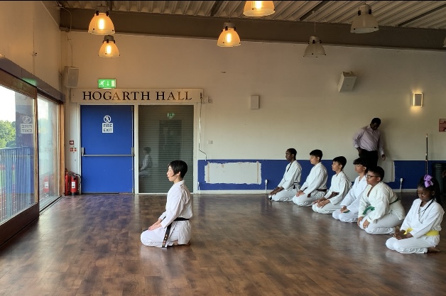 Main image of Yui-Shin Karate Dojo