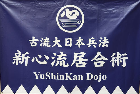 Main image of Yushinkan Dojo