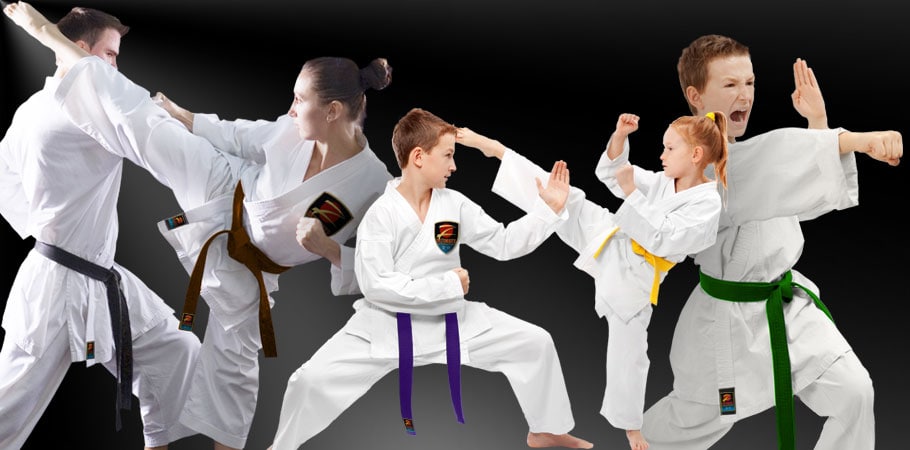 Main image of Z-Ultimate Self Defense Studios Oak Park