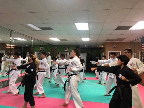 Main image of Zanchin Dojo Karate-Do