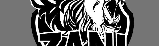 Main image of Zani bjj