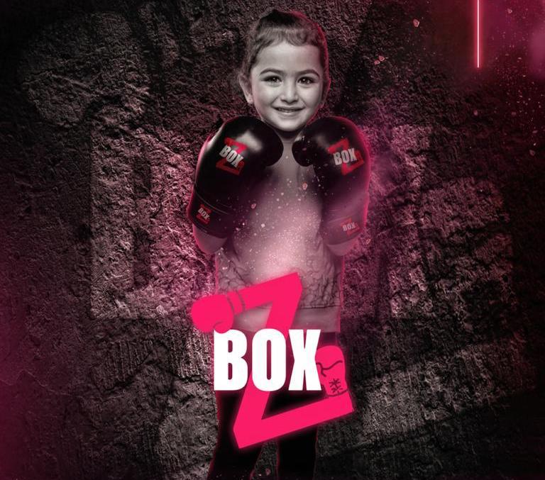 Main image of ZBOX