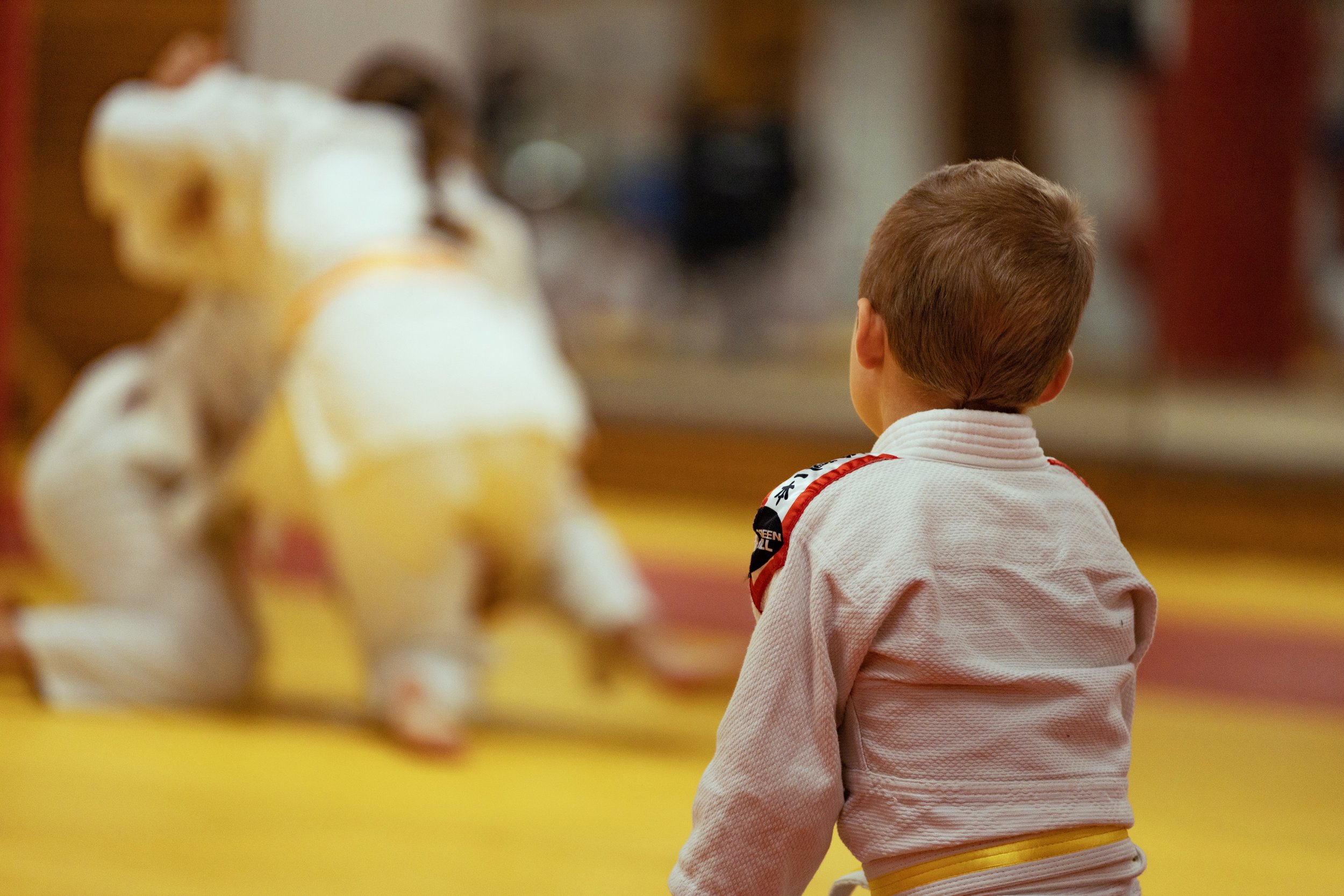 Main image of Zempo Judo