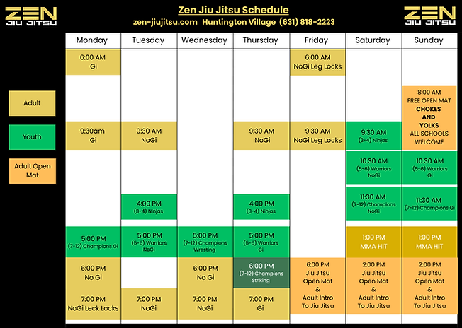 Main image of Zen Jiu Jitsu & Wellness