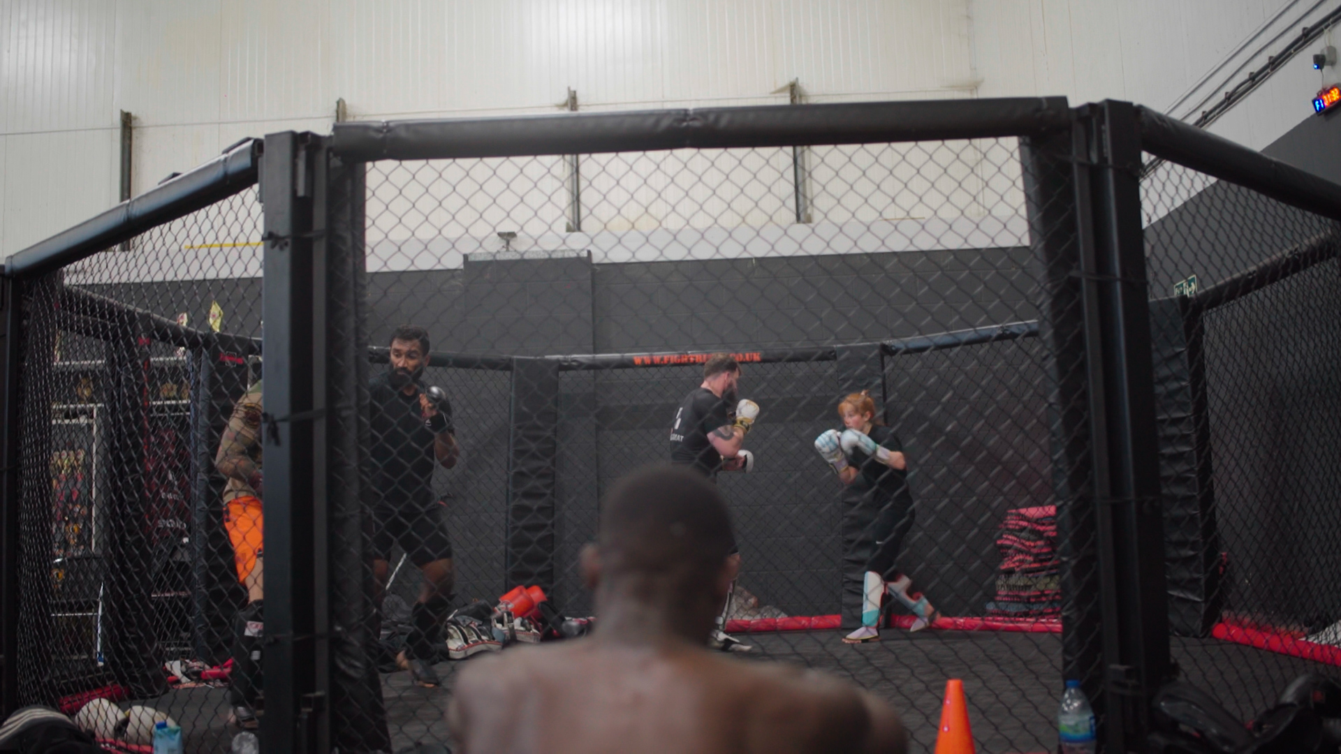 Main image of Zilla training