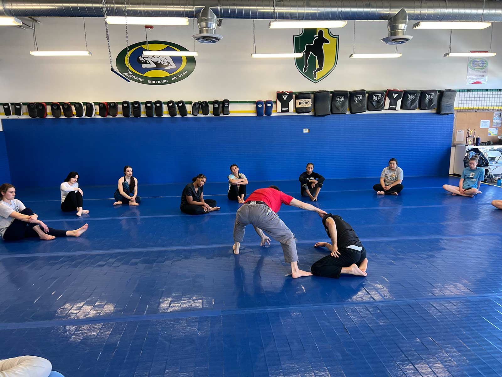 Main image of Zingano Brighton