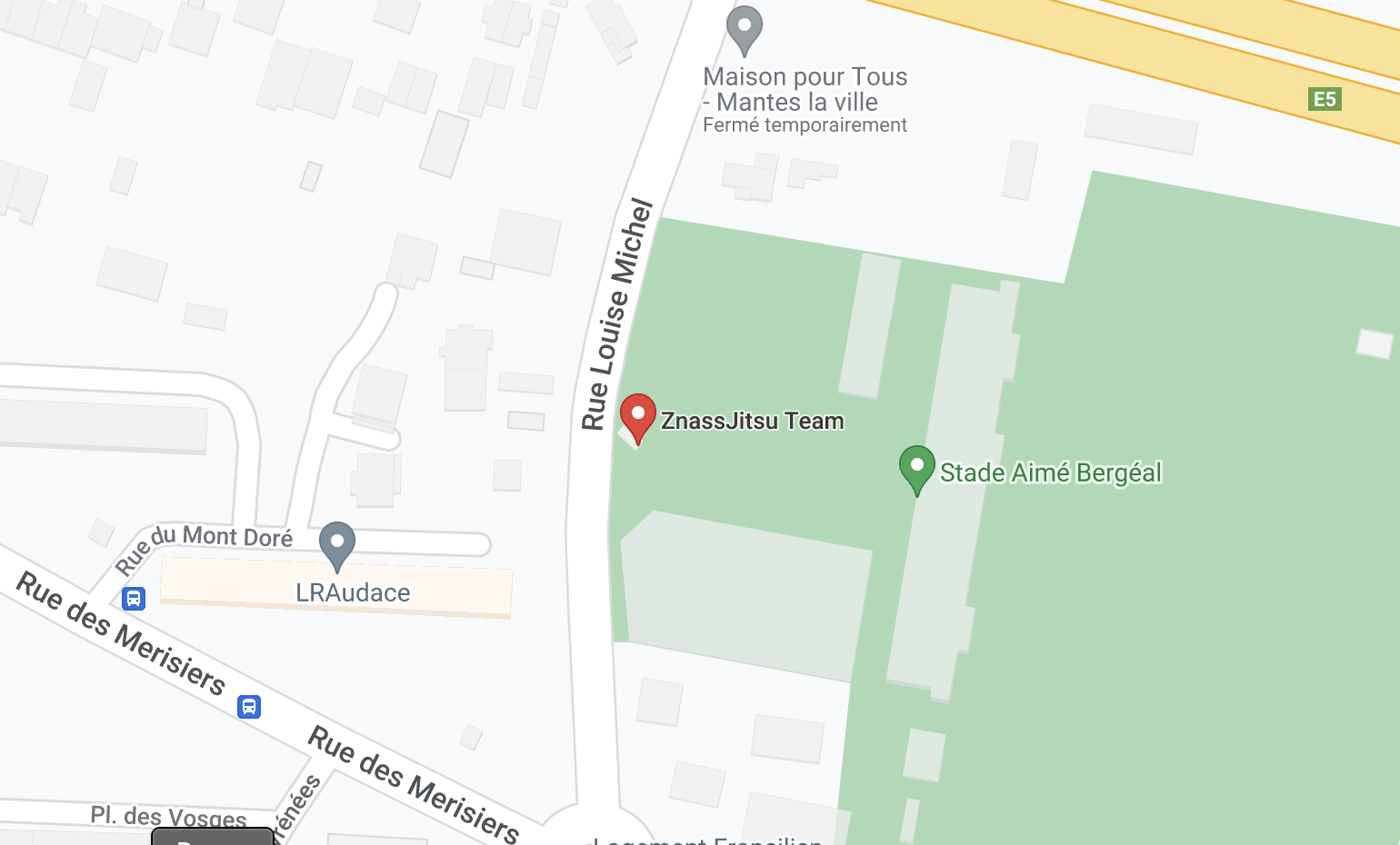 Main image of ZnassJitsu Team International